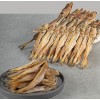남부건어물 줄노가리 대구노가리×1마리 (중)