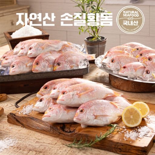 제주바다 자연산 황돔 300g (냉동)